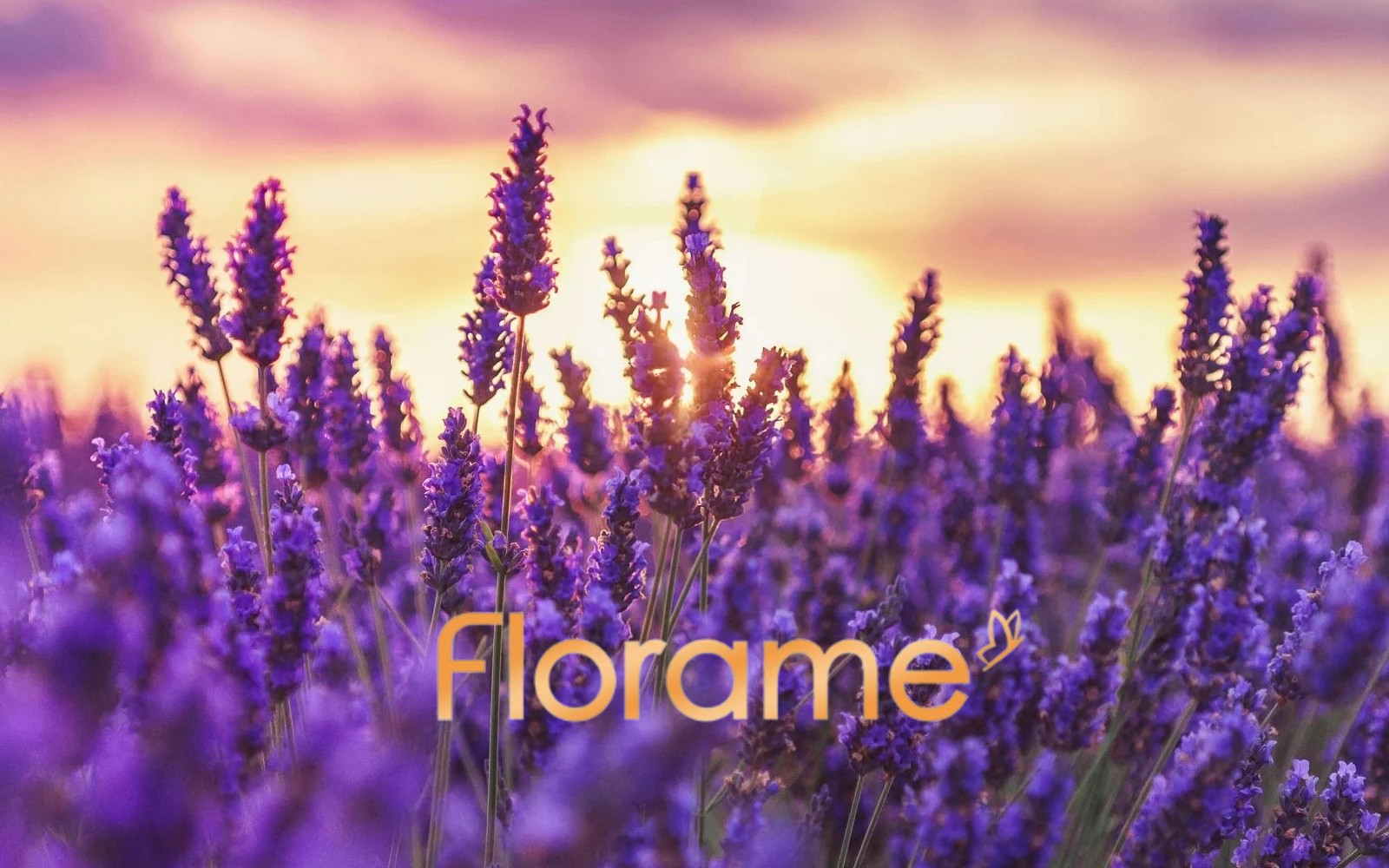 Florame - ORGANIC MAKE UP