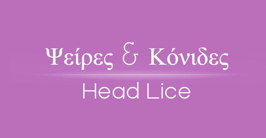 Head lice 