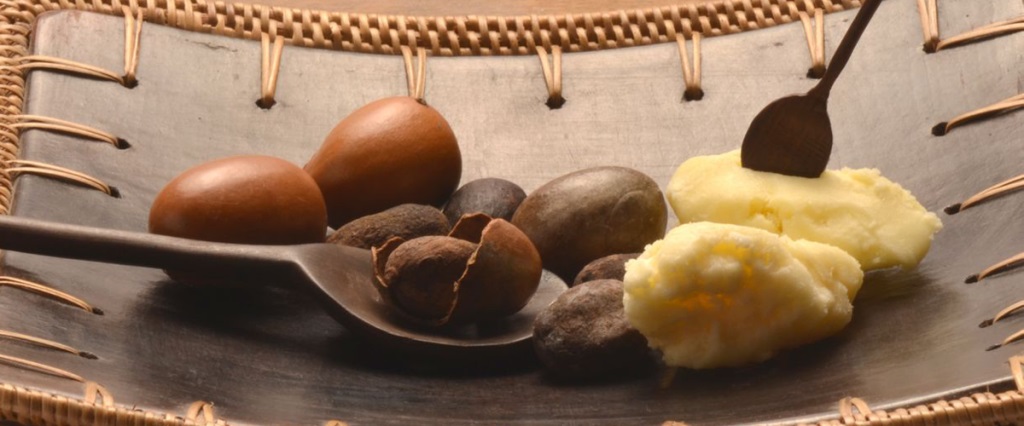 50 uses of Shea Butter! 