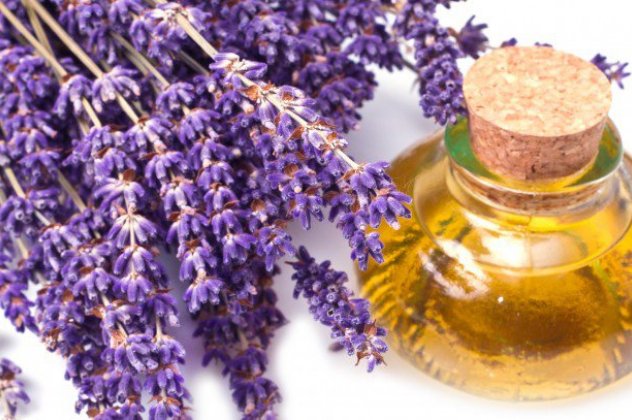 Lavender - Precious Essential Oil for Every Home with 16+ Beneficial Uses!