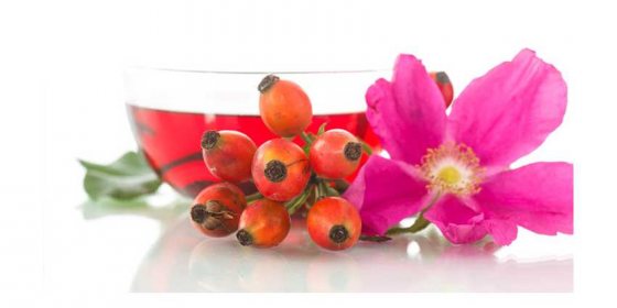 Wild Rose! The Precious Flower Treasure for our Skin!