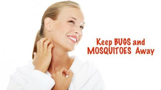 Αντιμετωπίστε τα κουνούπια και τα έντομα με φυσικό τρόπο! 