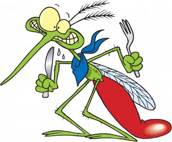 Κουνούπια ……Οι πιο Ανεπιθύμητοι Καλοκαιρινοί Επισκέπτες! 