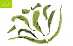 Organic Tea - Herbal Blends - Λουίζα, Lippia citriodora, bio / Lippia citriodora, bio