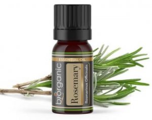 Biorganic - Organic Rosemary Essential Oil 